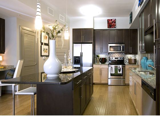 Houston  apartment HOU-359 