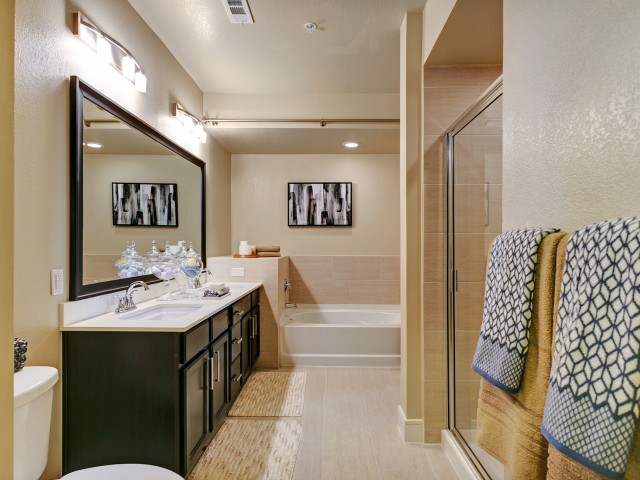 Dallas  apartment DAL-679 