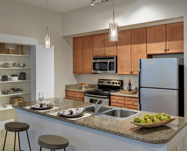 Houston  apartment HOU-376 