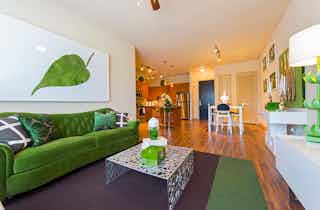 Houston  apartment HOU-4